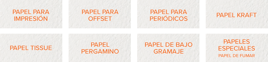 caracteristicas3.png